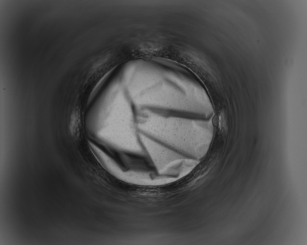 X0000095691299200801291209