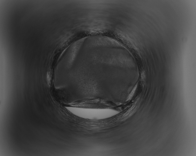 X0000095691300200801291209