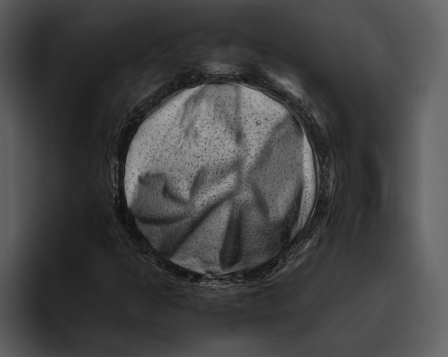 X0000095691301200801291209