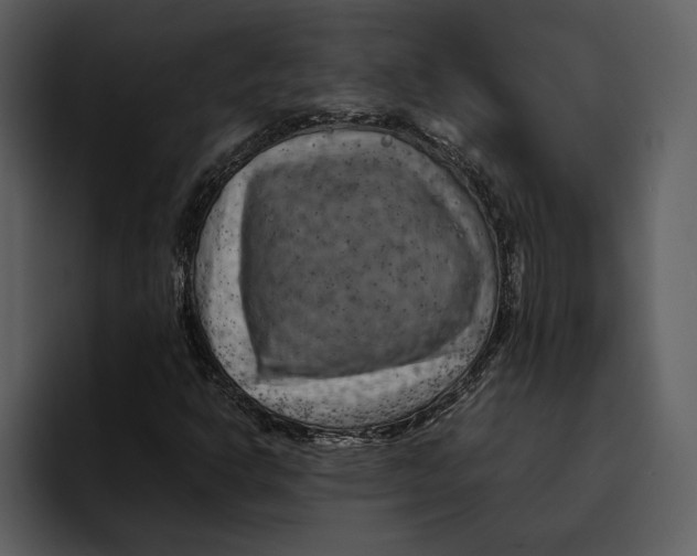 X0000095691302200801291209