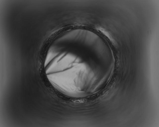 X0000095691303200801291209