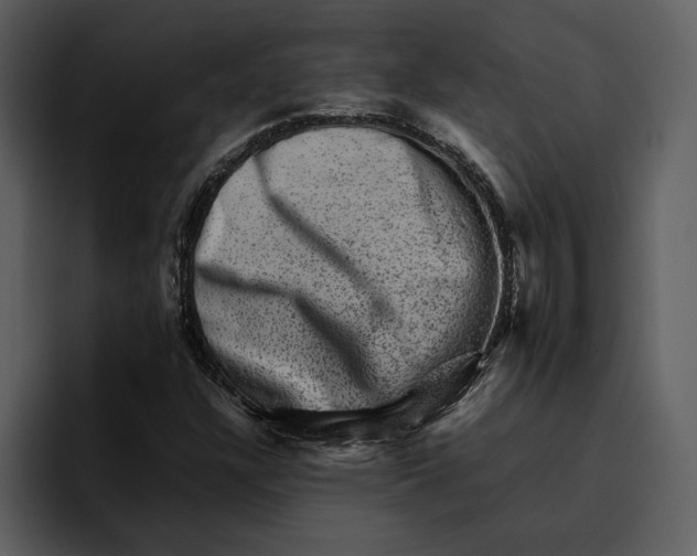 X0000095691304200801291209