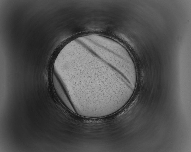 X0000095691307200801291209