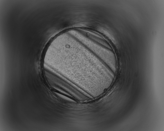 X0000095691308200801291209