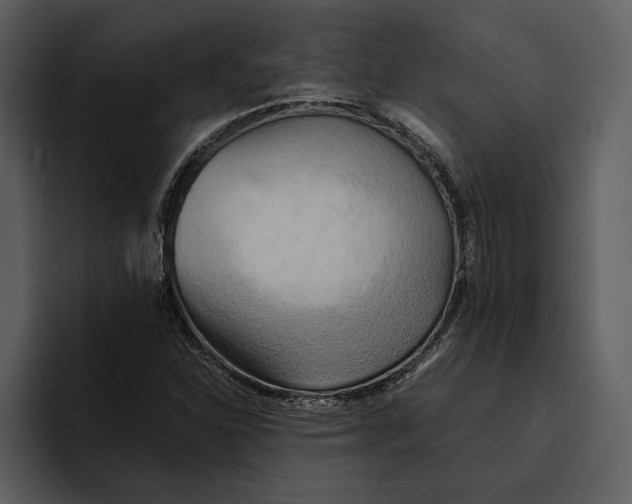 X0000095691310200801291209