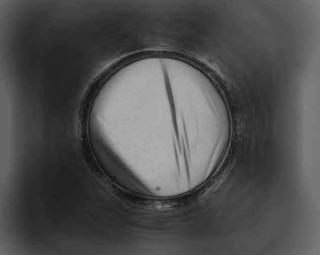 X0000095691311200801291209