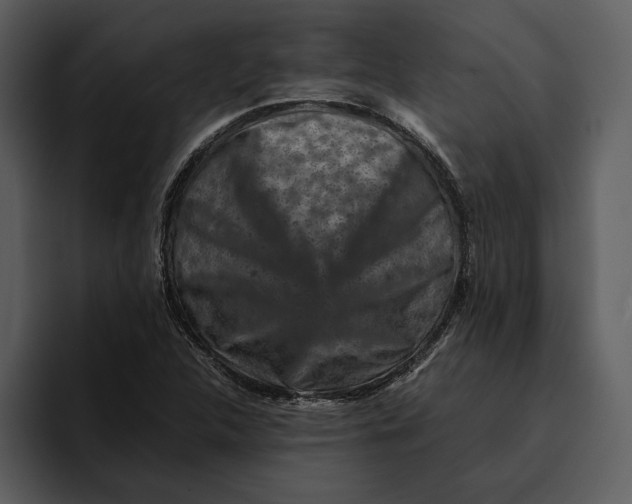 X0000095691312200801291209