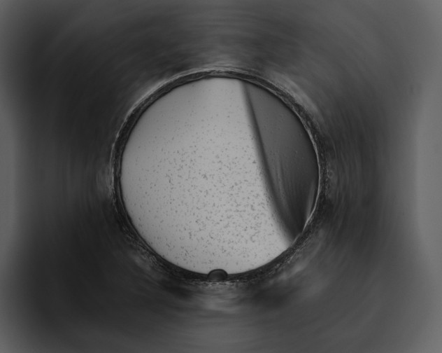 X0000095691316200801291209