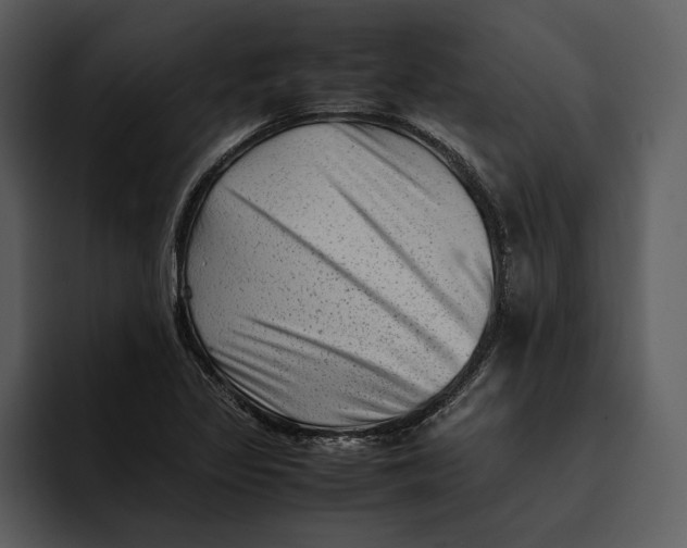 X0000095691317200801291209