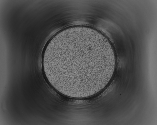 X0000095691322200801291209