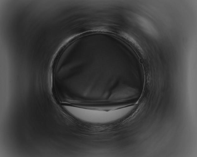 X0000095691323200801291209