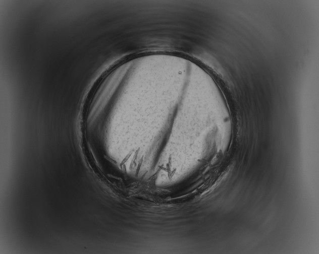 X0000095691325200801291209