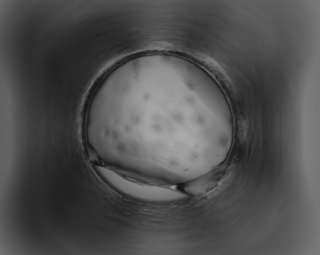 X0000095691326200801291209