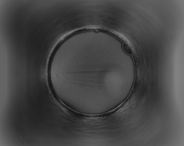 X0000095691327200801291209