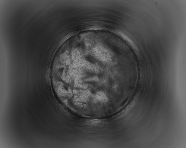 X0000095691329200801291209