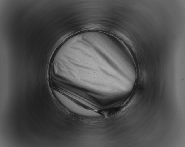 X0000095691330200801291209