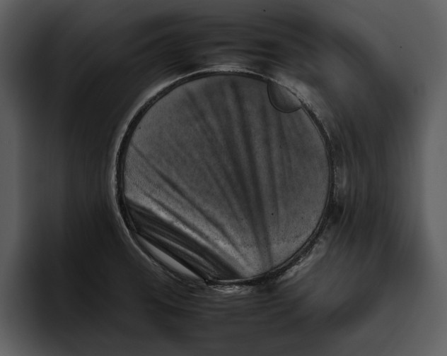 X0000095691331200801291209