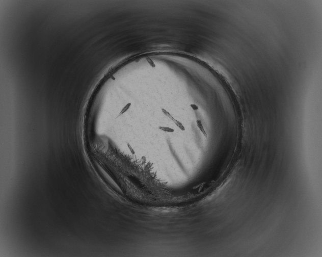 X0000095691333200801291209