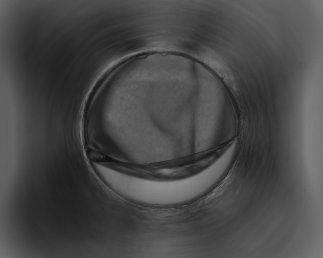 X0000095691334200801291209