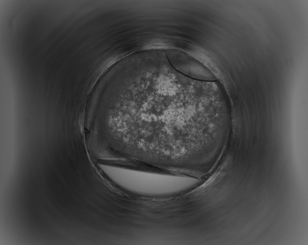 X0000095691337200801291209