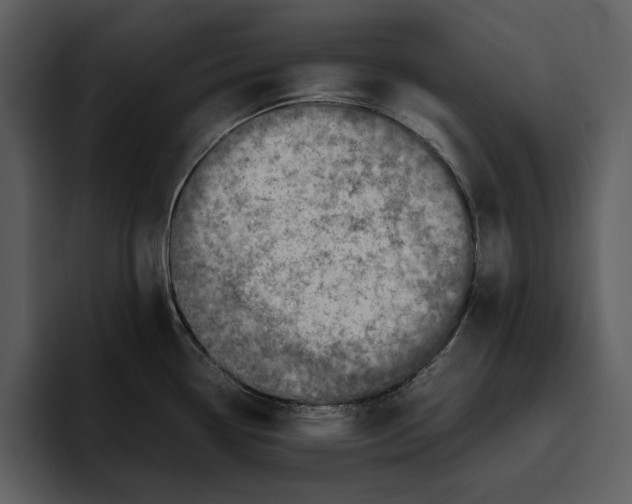 X0000095691338200801291209