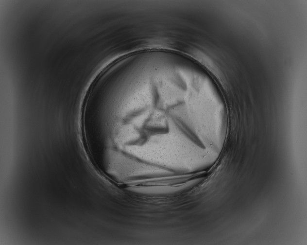 X0000095691339200801291209