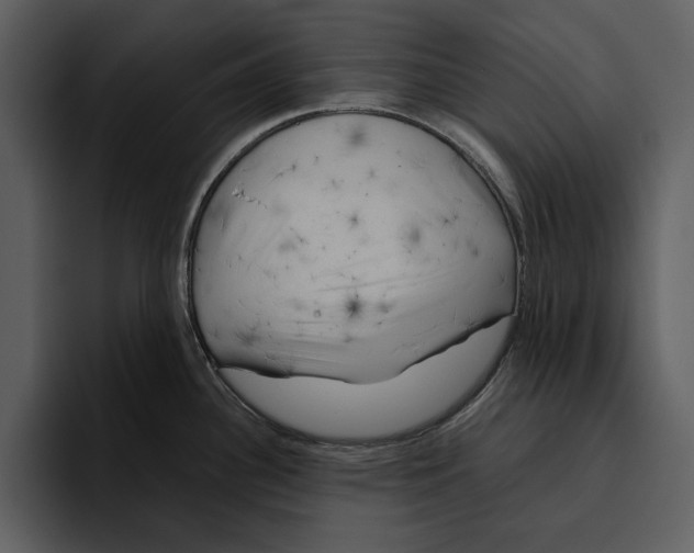 X0000095691340200801291209