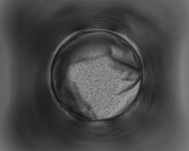 X0000095691341200801291209