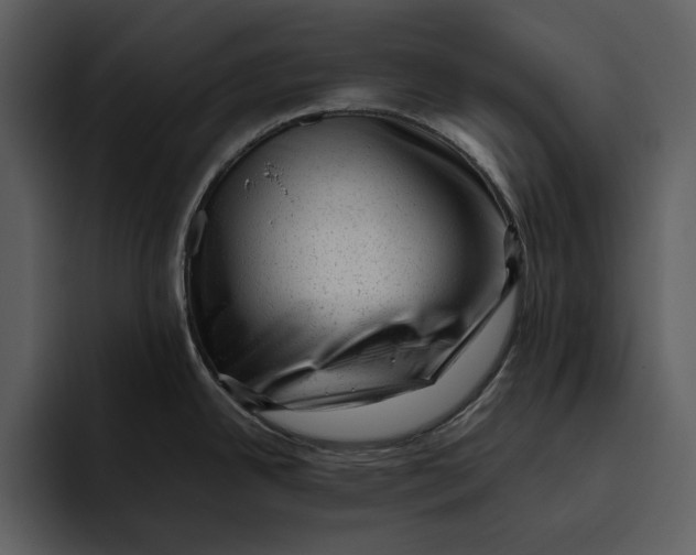 X0000095691342200801291209