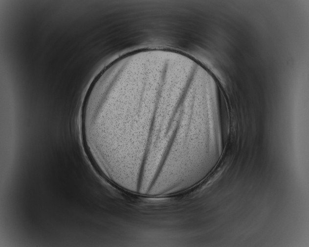 X0000095691343200801291209