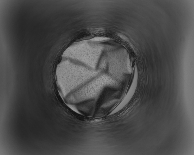 X0000095691345200801291209