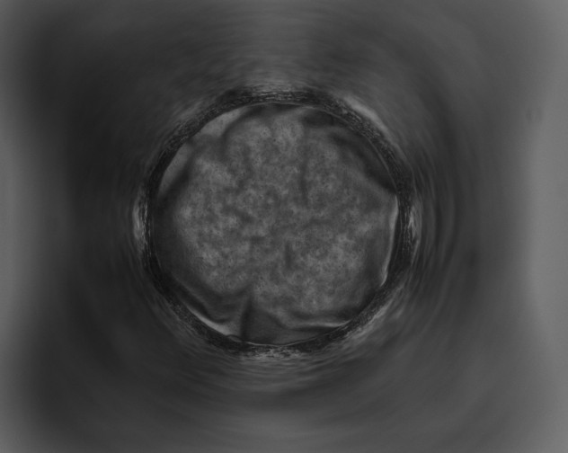 X0000095691348200801291209