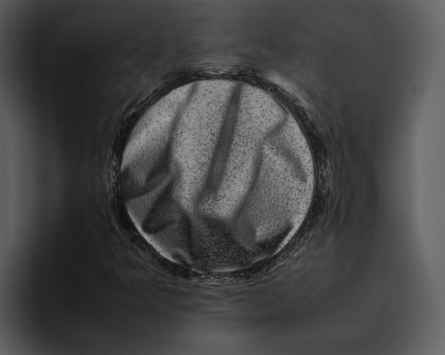 X0000095691349200801291209