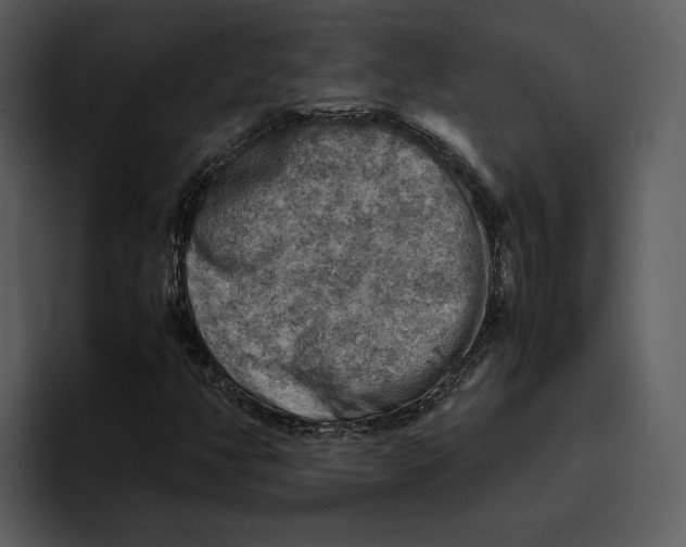 X0000095691350200801291209