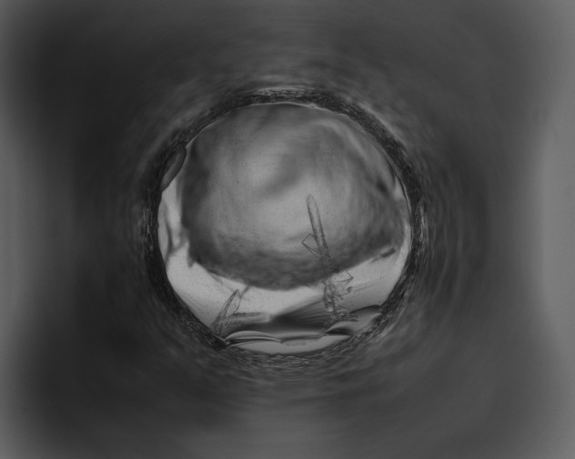 X0000095691351200801291209