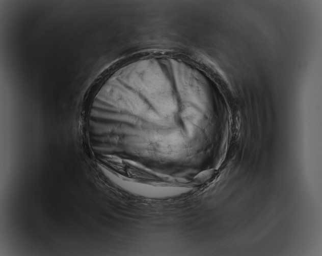 X0000095691352200801291209