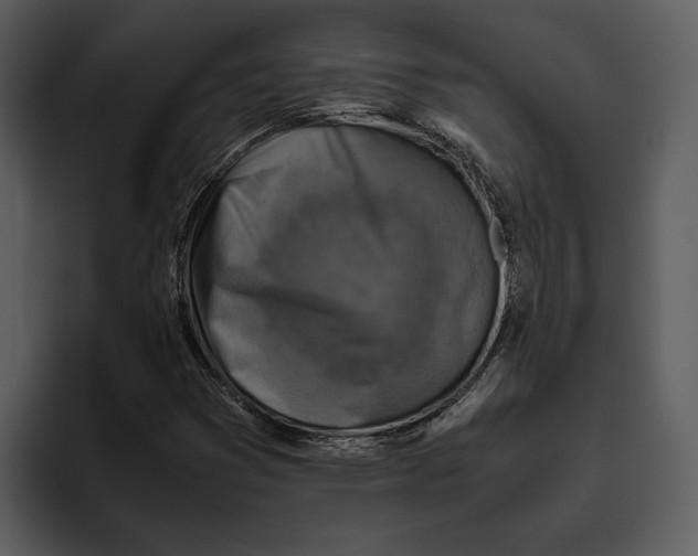 X0000095691353200801291209