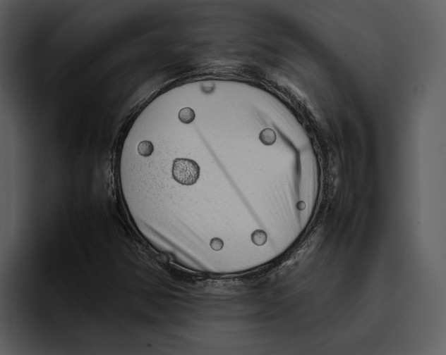 X0000095691354200801291209