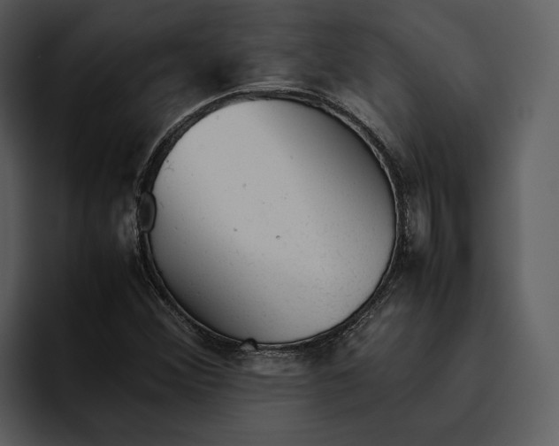 X0000095691356200801291209