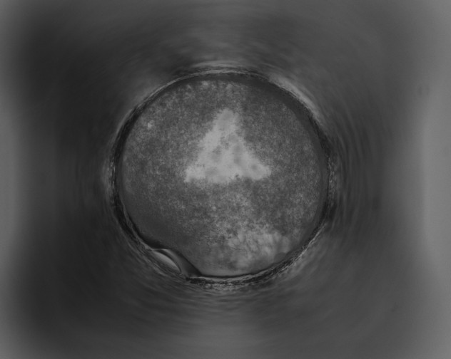 X0000095691357200801291209