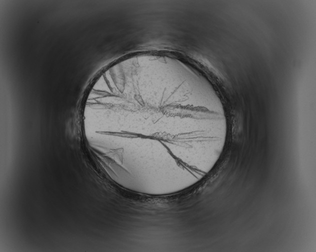 X0000095691358200801291209