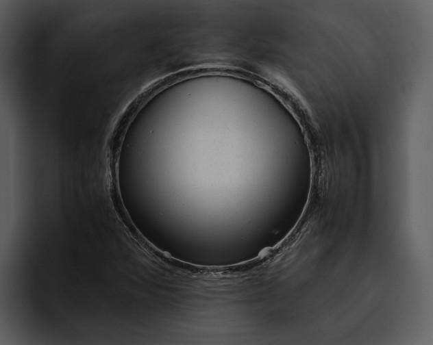 X0000095691360200801291209