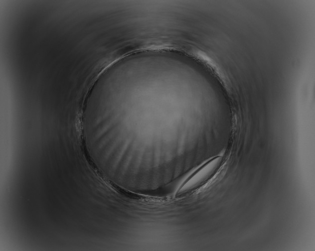 X0000095691361200801291209