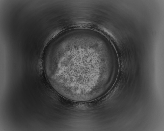 X0000095691362200801291209