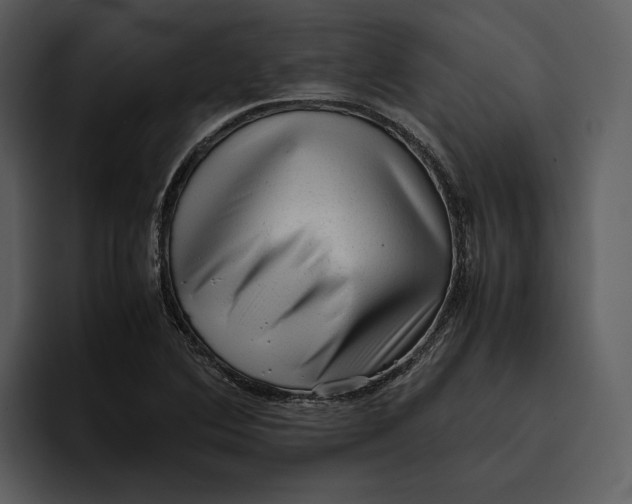 X0000095691364200801291209