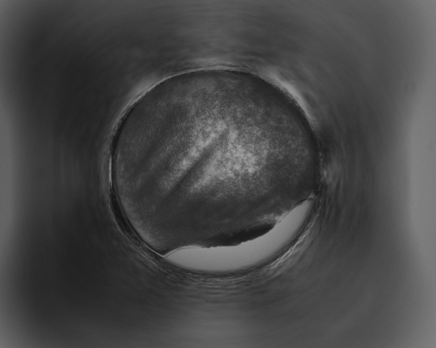 X0000095691365200801291209