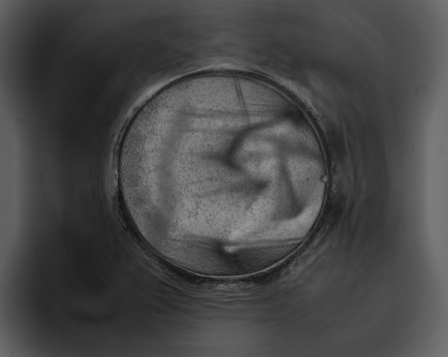 X0000095691367200801291209