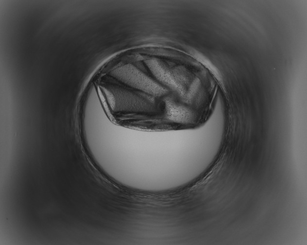 X0000095691368200801291209