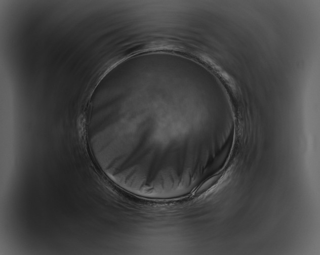 X0000095691369200801291208