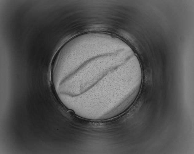 X0000095691370200801291208